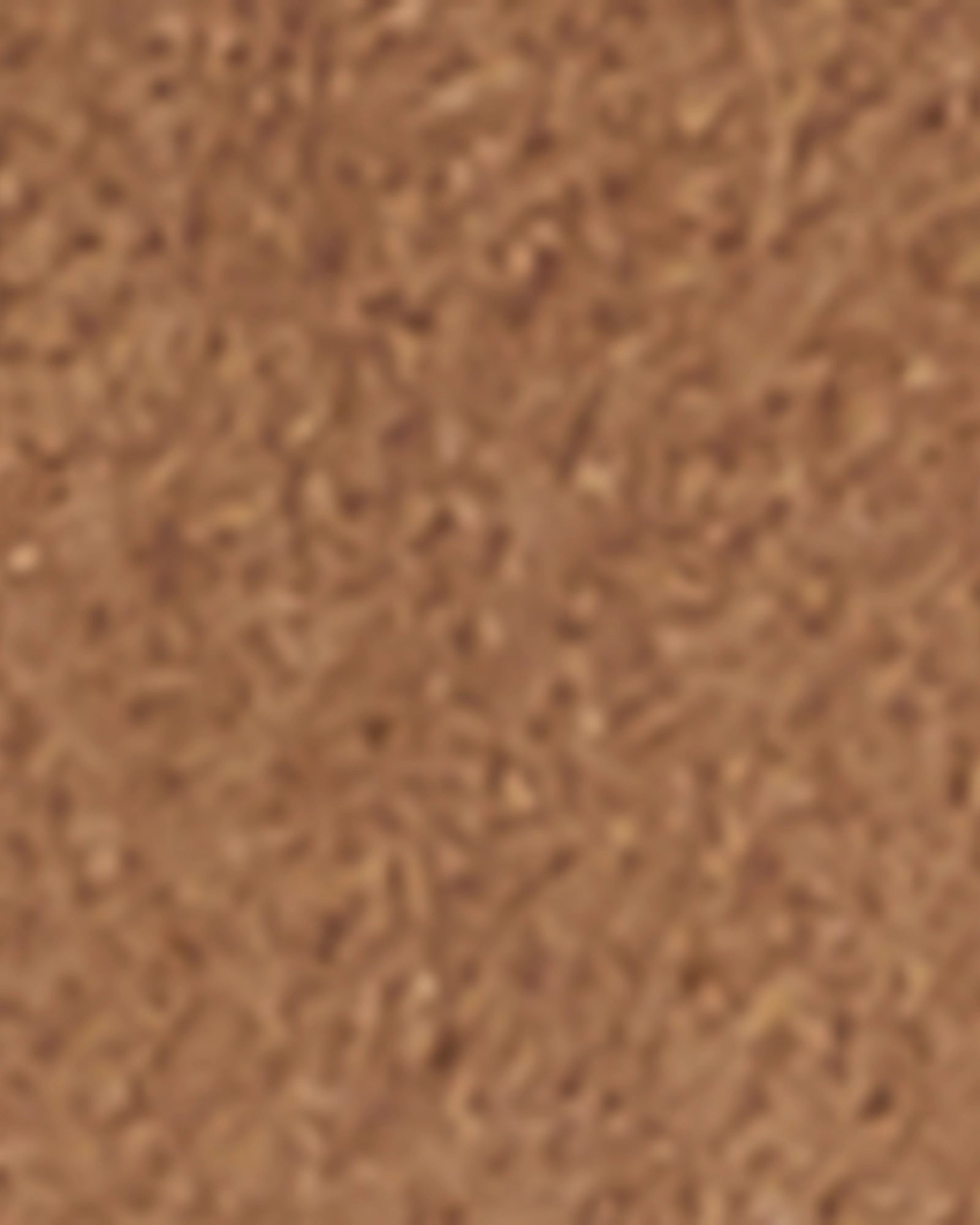 Non Restrictive Collar bag Beatrice Wool-Blend Jacket | Tan