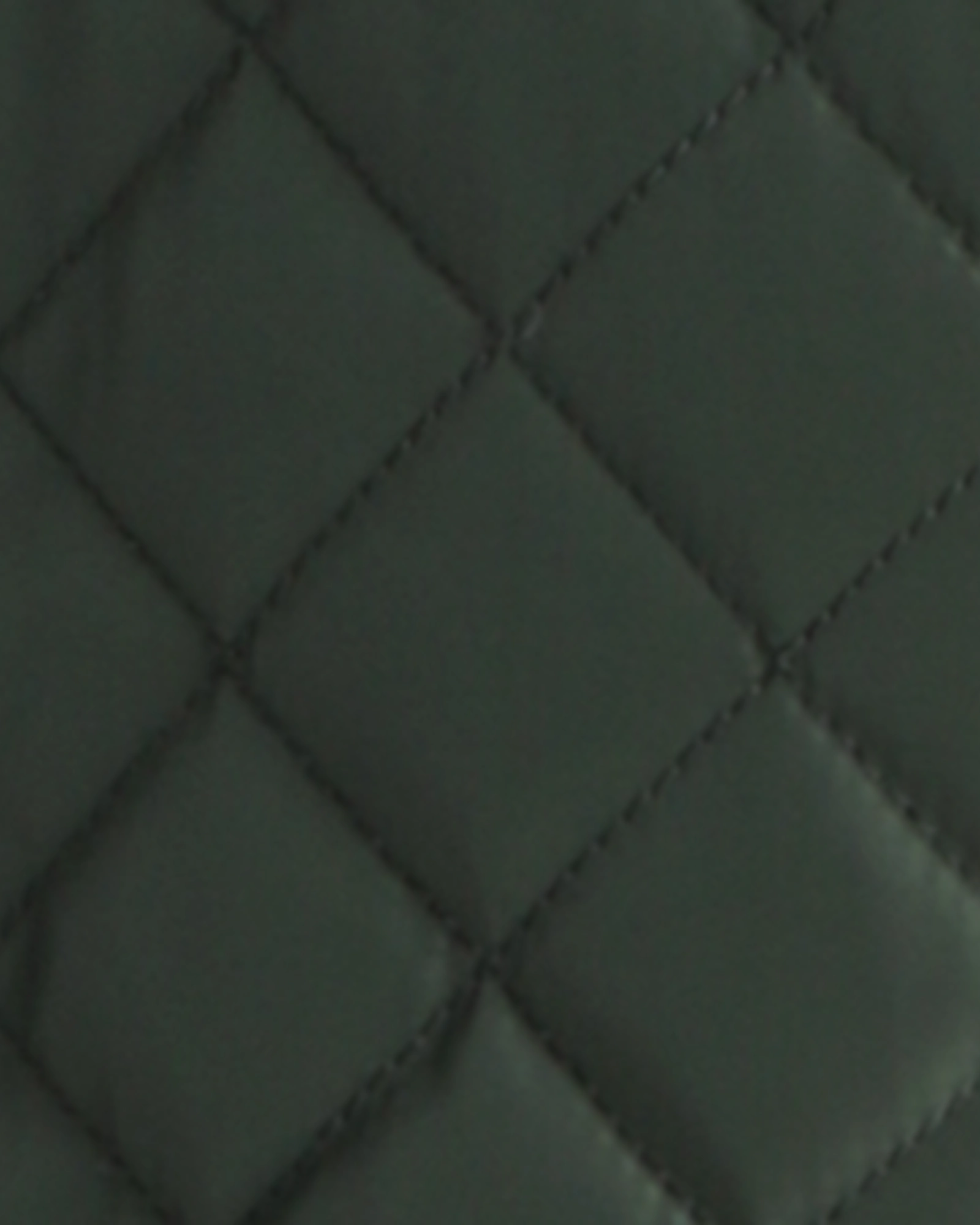 Abrasion Resistant Edges Easy Zip Cassandra Quilted Vest | Forest Green