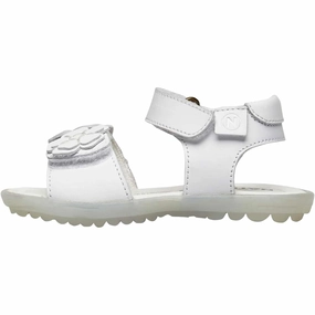 sole Naturino Begonia Silver / Cipria  0502698061Q80 Toddler