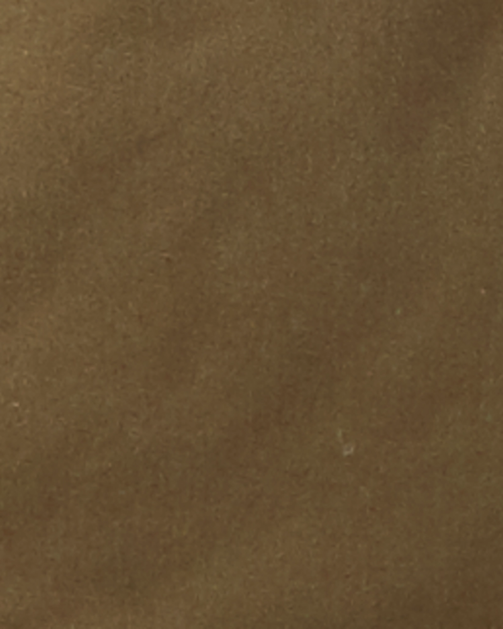 Abrasion Resistant Edges Diantha Sherpa-Lined Utility Jacket | Olive Green