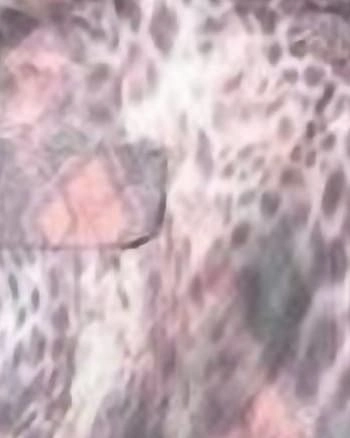 Winter Comfort waist length Wild Wanderlust Blazer in Cream/Pink | Cream/Pink