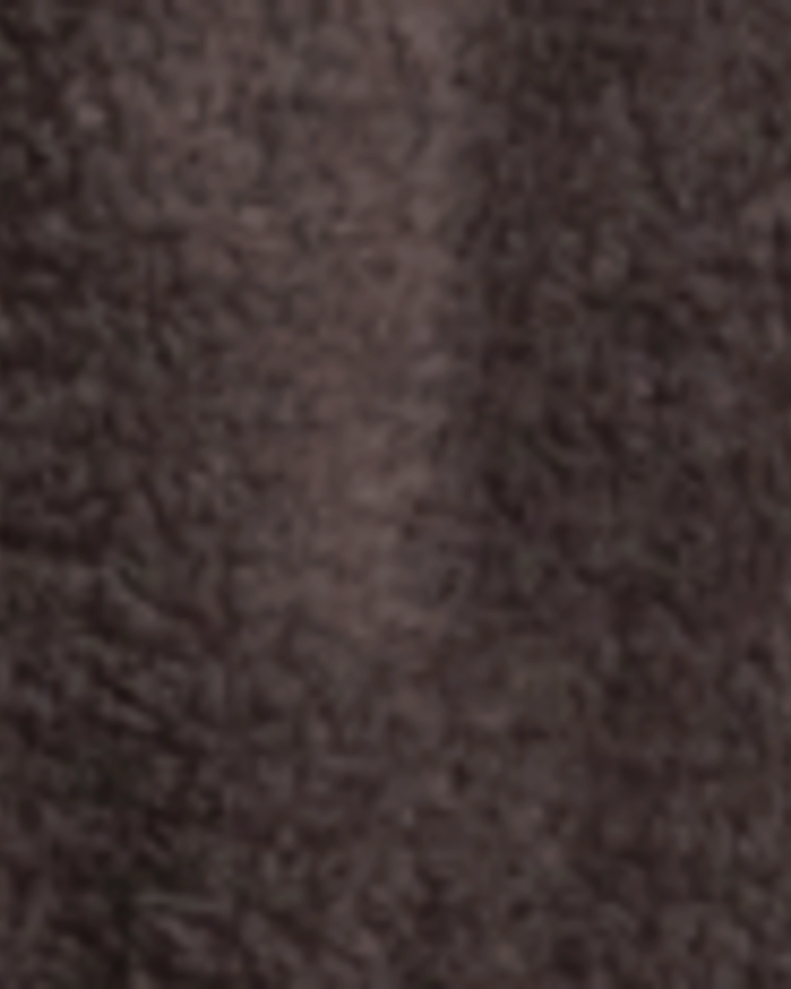 Lydia Teddy Fleece Zippered Pullover | Charcoal Grey sunny - day look visibility