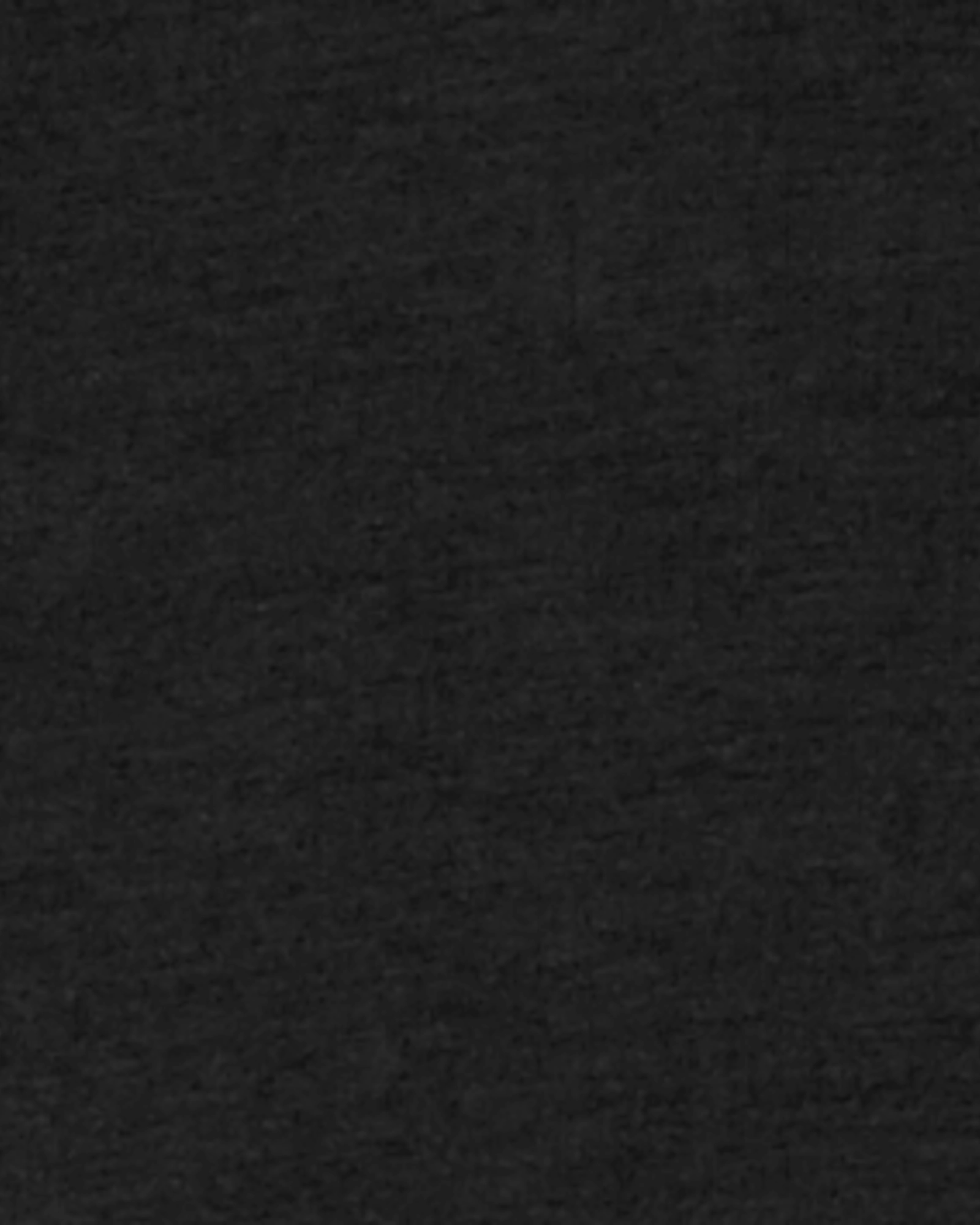 cloudy Universal Size Adaptation Ritter Mock Neck Jacket | Black