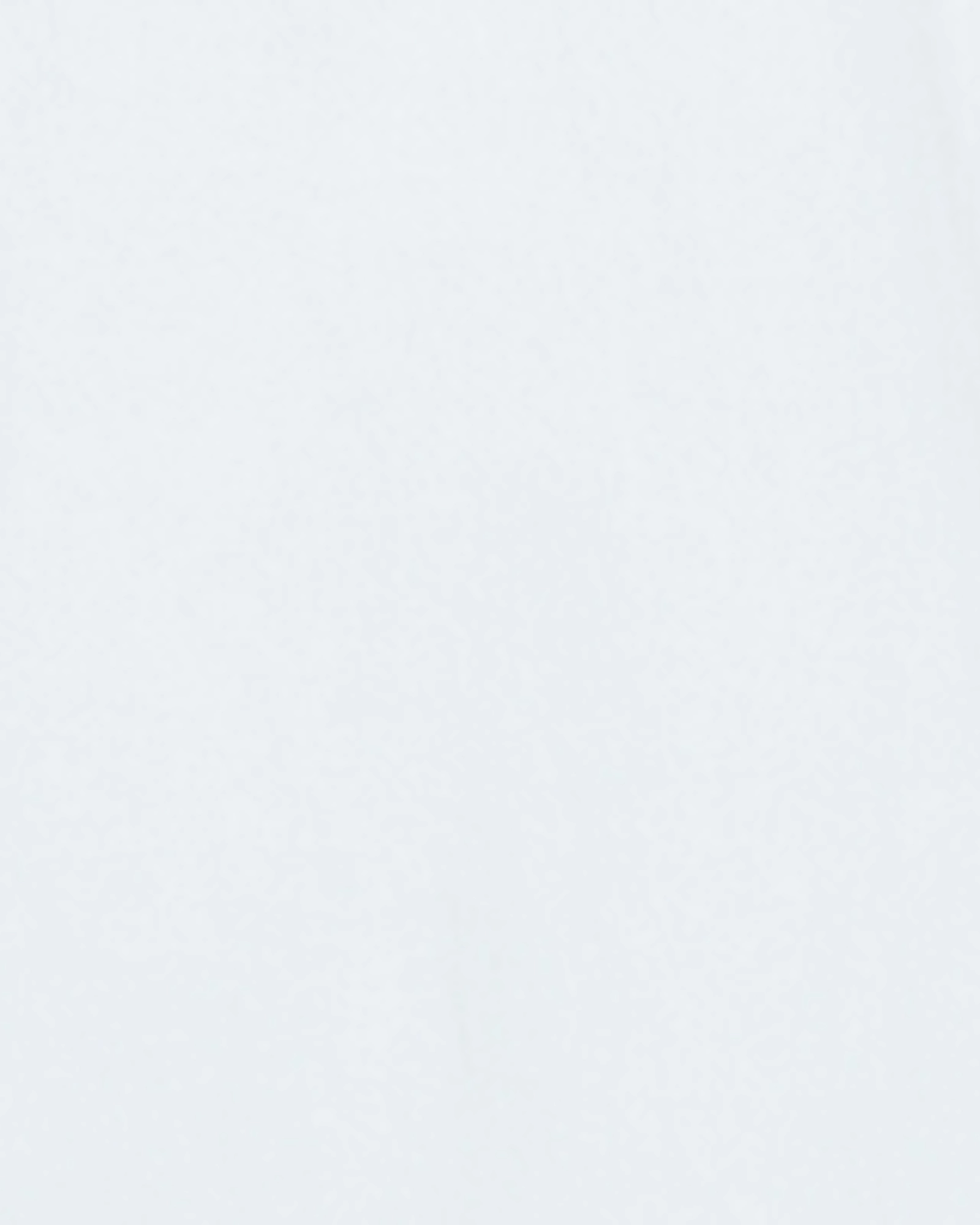 Decal Tasha Denim Jacket | Light Grey