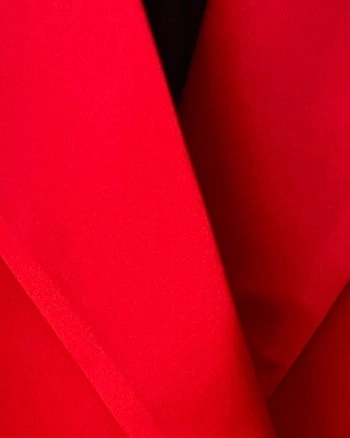 Soft Touch The Lexi Satin Blazer - Red | Red