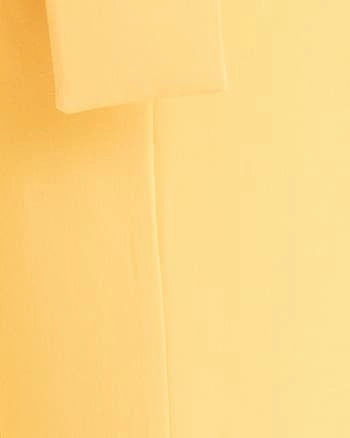 Tie Waist Blazer with Shawl Lapel | Amber Graphic Design