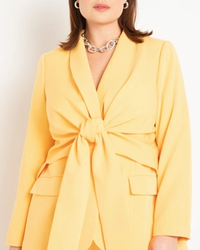 Tie Waist Blazer with Shawl Lapel | Amber Legacy Respect