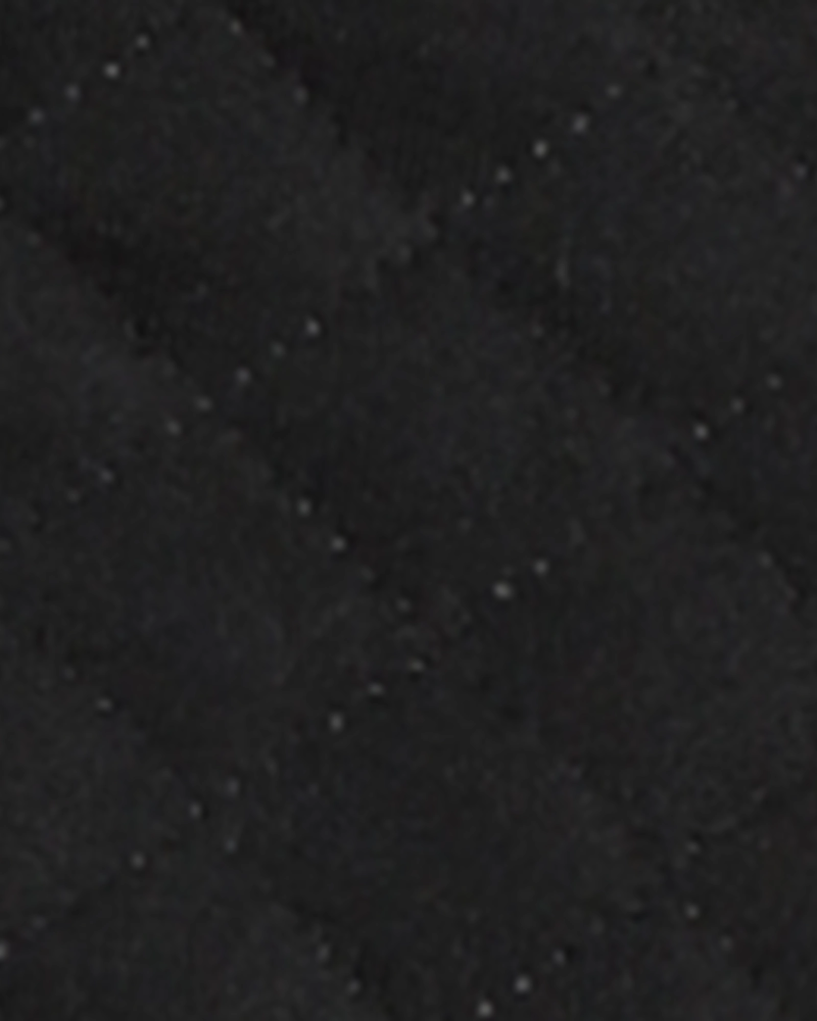 Soft Interior Lining Primrose Quilted Hooded Jacket | Black